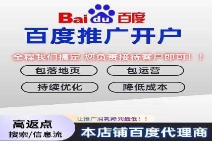 谷歌SEM案例研究：数据分析与效果评估