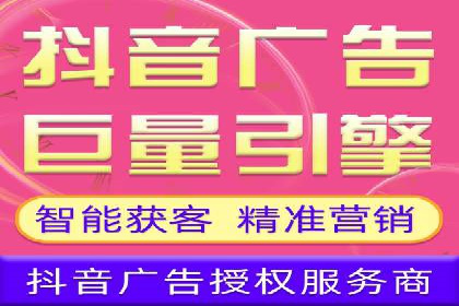 SEM广告投放中的数据监控与调整策略——以某品牌营销案例为例